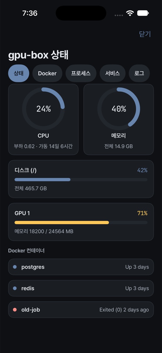 Serverstatus mit CPU, Speicher, Festplatte, GPU und Docker-Containern